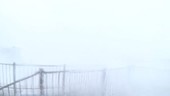 Sea waves during Typhoon Vongfong