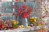 Autumn fruits on the stable window, bouquet from Euonymus europaeus