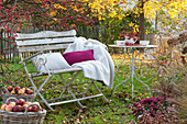Bench with pillows and blanket under malus (ornamental apple tree)