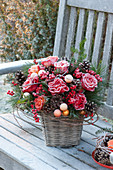 Gefrorener Weihnachtsstrauss aus Rosa ( Rosen ), Pinus ( Kiefer ),