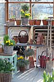 Early spring in the greenhouse