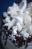 Snowflake Cake mit Mini-Marshmallows, Fondant-Schneeflocken und Kokospralinen