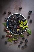 Brombeeren in einer Schüssel auf dunklem Untergrund