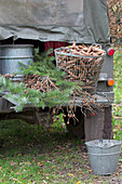 Pine branches and various cones in metal basket