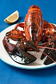 Lobster on platter