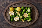 A tray full of lemons and limes