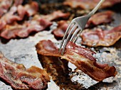 Fried bacon on a fork