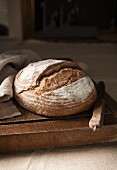 A loaf of sourdough bread on a chopping board with bread knife and linen cloth