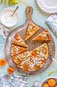 Apricot cake with almonds