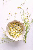 Fresh chamomile blossoms in a cardboard bowl