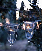 Glass tealight holders hung in tree