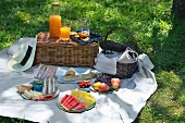 Sommerliches Picknick im Park mit Saft, frischen Früchten und Sandwiches