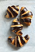 Freshly baked bicolor french croissants on a baking tray