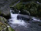 River in Snowdonia