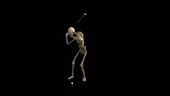 Person playing golf, skeletal structure