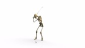 Person playing golf, skeletal structure