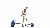 Weightlifter's skeletal structure