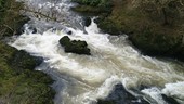 River Teifi, Wales