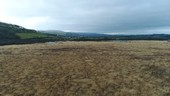 Cors Caron Bog, Wales