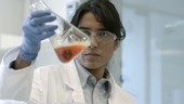 Scientist examining flask