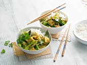 Yellow curry with tofu and green asparagus
