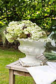 White hydrangeas in antique urn on wooden table in garden