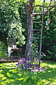 Alte Holzleiter lehnt am Baum im naturnahen Garten