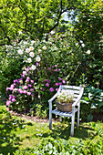 Mit Blumen bepflanter Korb auf einem Stuhl im Sommergarten