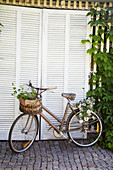 Old bicycle with flowers in basket in front of shed