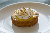 A small individual serving lemon tart and almond crust with meringue topping on a white plate