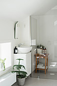 Walk-in shower in modern bathroom under sloping ceiling