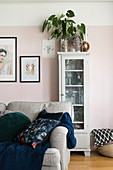 House plant on top of display case against pink wall in living room