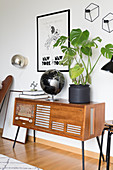 Books, globe and house plant on retro phono sideboard in music room