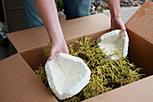 Eco-friendly packing material
