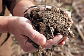 Soil scientist