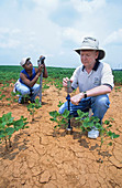 Soil moisture data collection testing