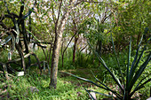 Biosphere 2, Arizona, USA