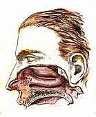 Human mouth anatomy, 19th Century illustration