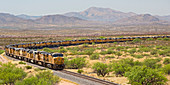 Disused trains, Arizona, USA