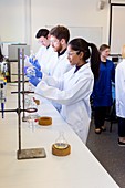 Chemistry students using separating funnels