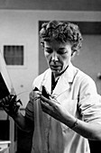 Mary Alice McWhinnie, US biologist
