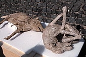 Body casts of a boar and a dog from Pompeii