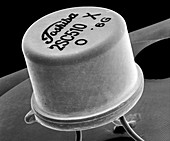 Small transistor on a circuit board, SEM