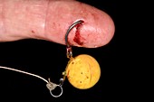 Fishing hook lodged in finger