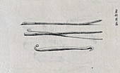 Surgical instruments, 19th century illustration