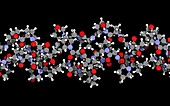 Collagen protein molecule, illustration