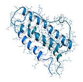 Erythropoietin hormone molecule, illustration