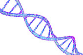 DNA molecule, illustration