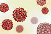 Hepatitis B Virus particles, illustration