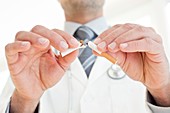 Male doctor breaking cigarette in two